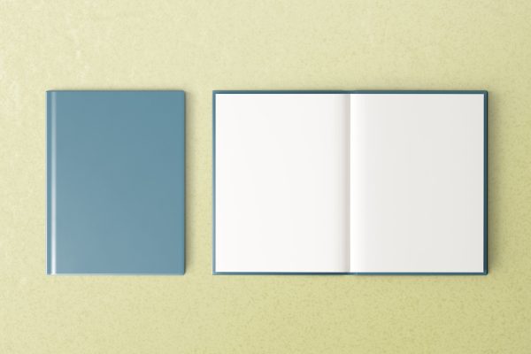 Blank open book with design space set