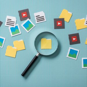 File search and analysis